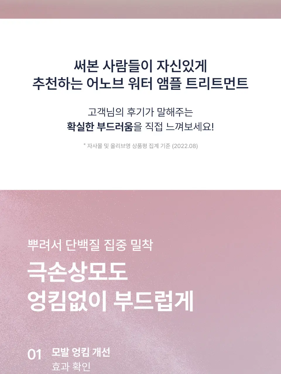 [단독기획] 어노브 노워시 워터 앰플 트리트먼트 200ml+50ml증정 기획 (뿌리는 헤어팩) 상세페이지 10